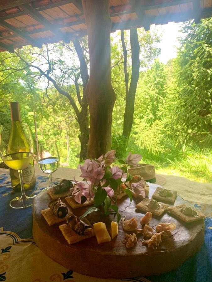 Chale De Luxo Pertinho De Monte Verde Monte Verde  Εξωτερικό φωτογραφία